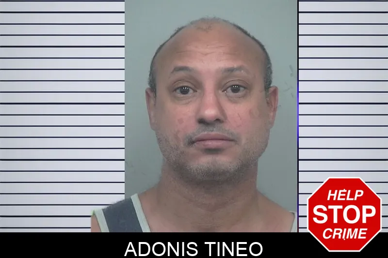 Adonis Tineo mugshot