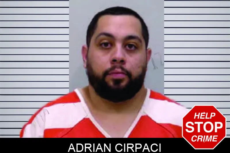 Adrian Cirpaci mugshot – Bartow County , Georgia Adrian Cirpaci mugshot