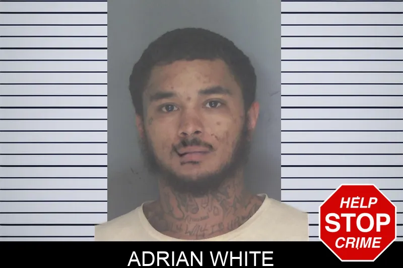 Adrian White mugshot