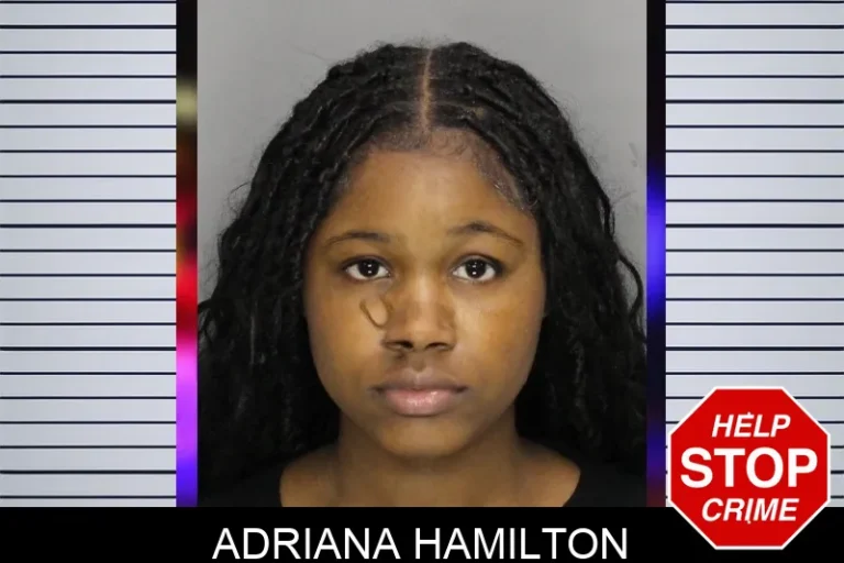 Adriana Hamilton mugshot – Cobb County , Georgia Adriana Hamilton