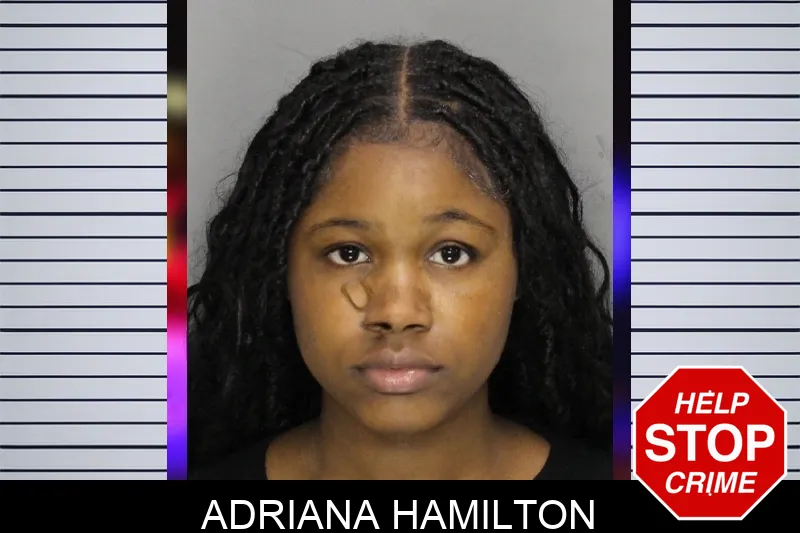 Adriana Hamilton mugshot – Cobb County , Georgia Adriana Hamilton mugshot