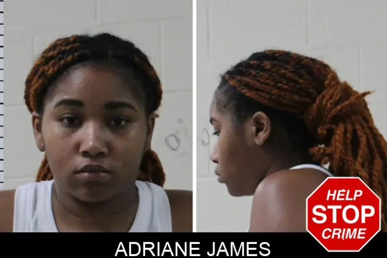 Adriane James mugshot – Houston County , Georgia Adriane James