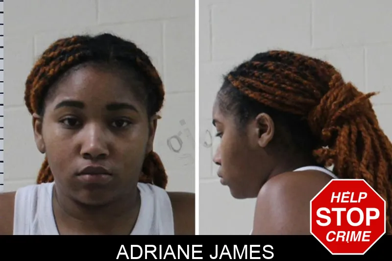 Adriane James mugshot