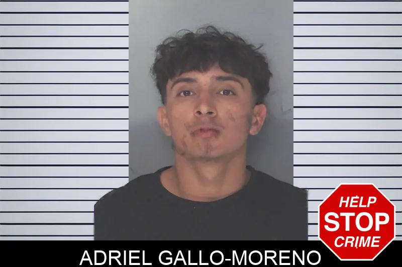 Adriel Gallo-Moreno mugshot – Douglas County , Georgia Adriel Gallo-Moreno mugshot