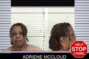 Adriene McCloud mugshot
