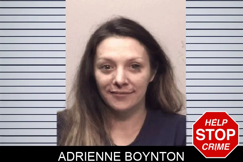 Adrienne Boynton Mugshots