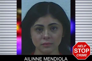 Ailinne Mendiola mugshot