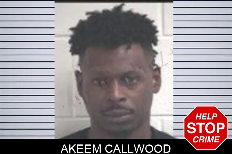 Akeem Callwood mugshot – Henry County , Georgia Akeem Callwood mugshot