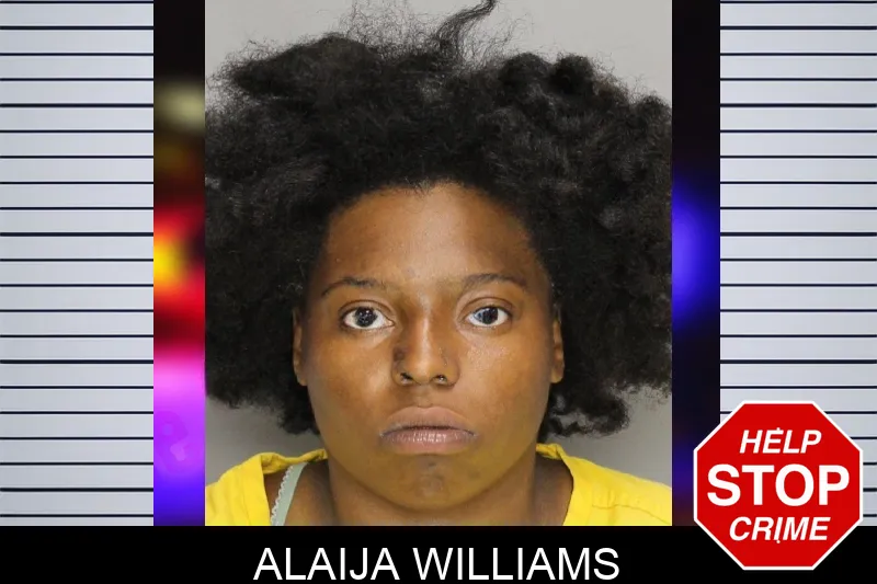 Alaija Williams mugshot