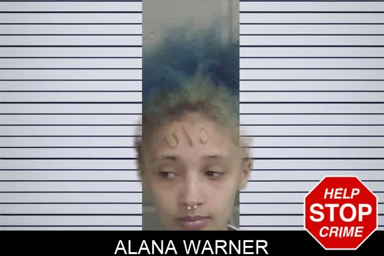 Alana Warner mugshot – Wayne County , Georgia Alana Warner