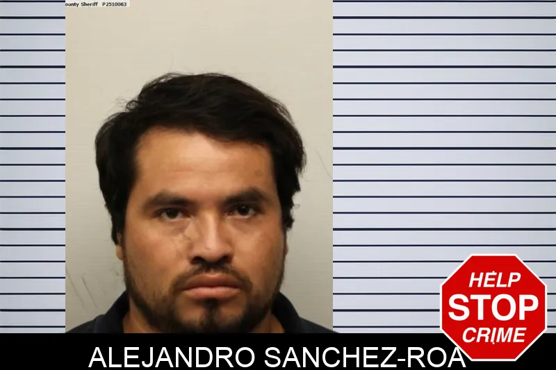 Alejandro Sanchez-Roa mugshot – Chatham County , Georgia Alejandro Sanchez-Roa mugshot