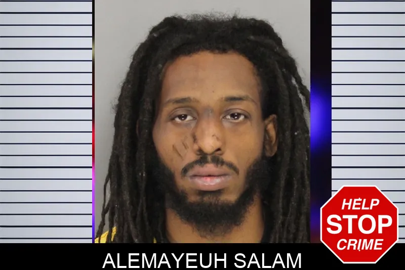 Alemayeuh Salam mugshot