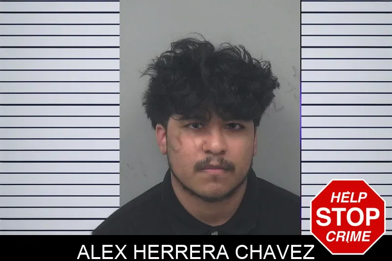 Alex Herrera Chavez mugshot