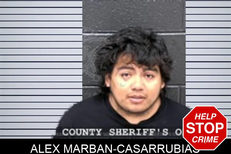 Alex Marban-Casarrubias