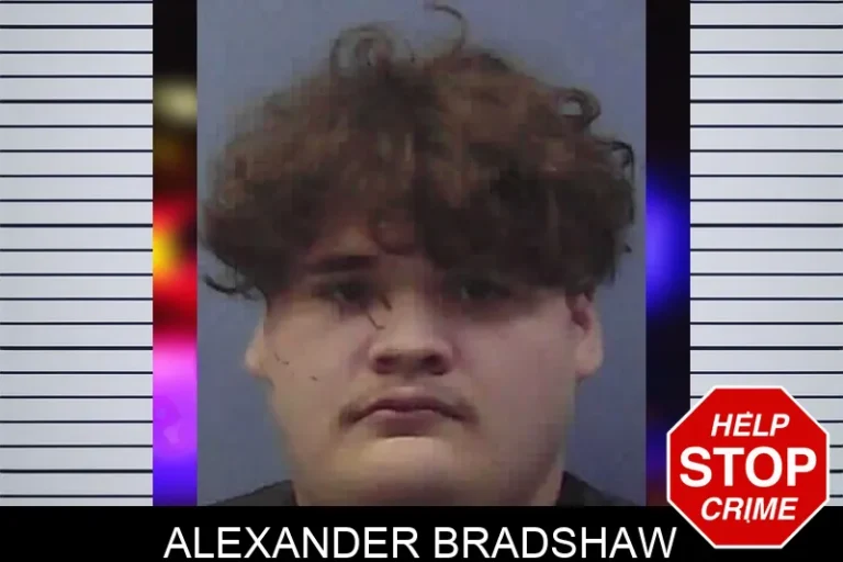 Alexander Bradshaw