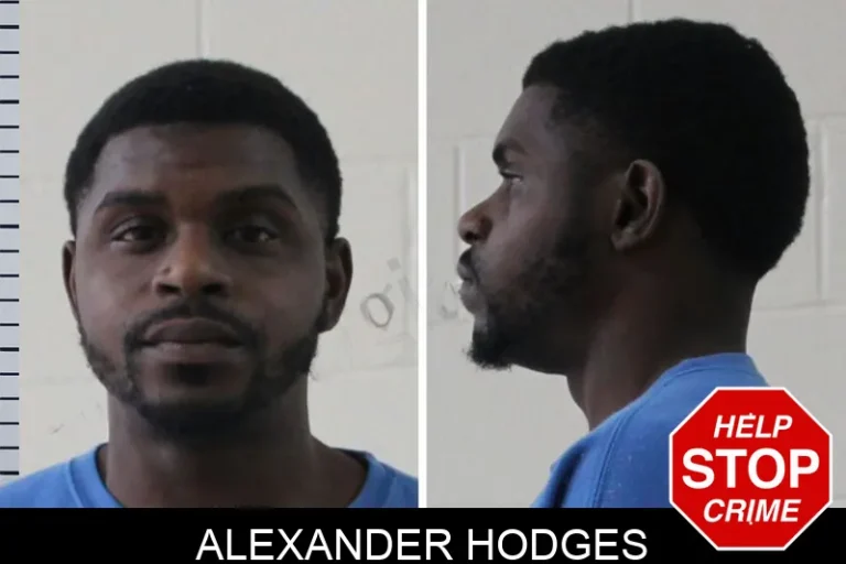 Alexander Hodges mugshot – Houston County , Georgia Alexander Hodges