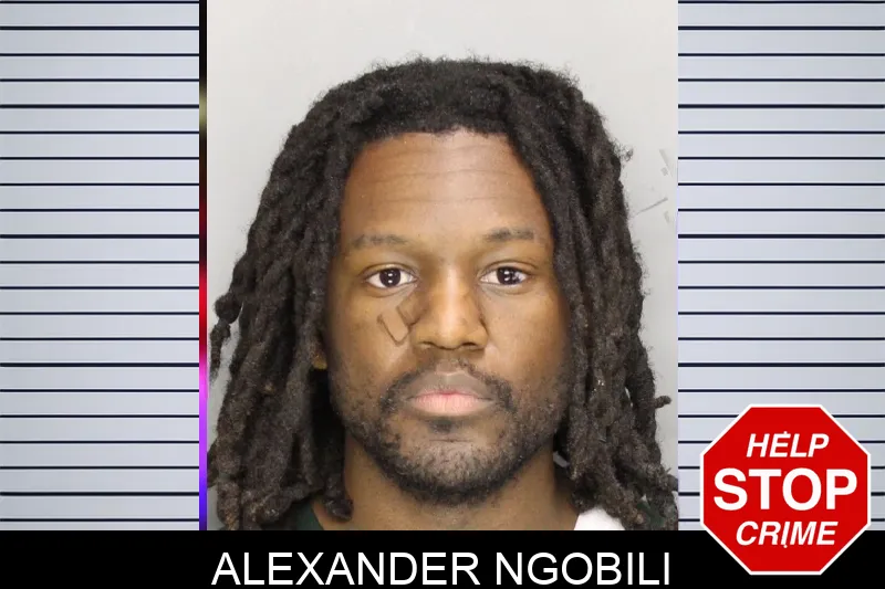 Alexander Ngobili Mugshots