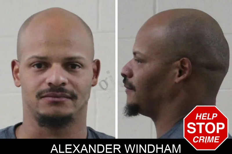 Alexander Windham mugshot – Houston County , Georgia Alexander Windham mugshot
