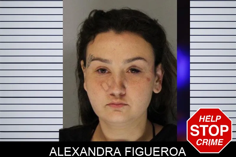 Alexandra Figueroa mugshot