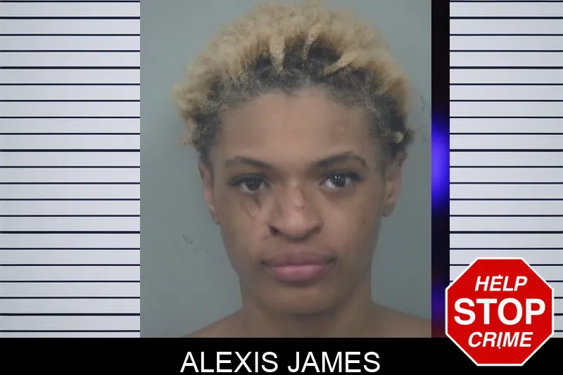 Alexis James mugshot – Gwinnett County , Georgia Alexis James mugshot