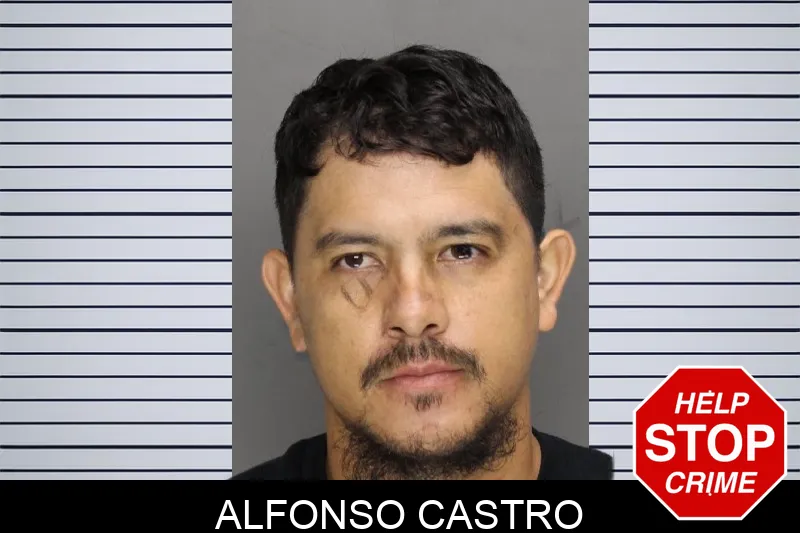 Alfonso Castro mugshot – Cobb County , Georgia Alfonso Castro mugshot