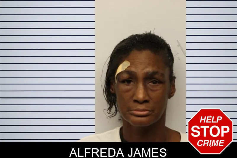 Alfreda James Mugshots