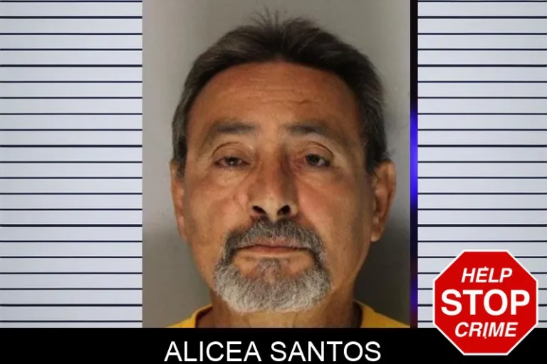 Alicea Santos mugshot – Hall County , Georgia Alicea Santos