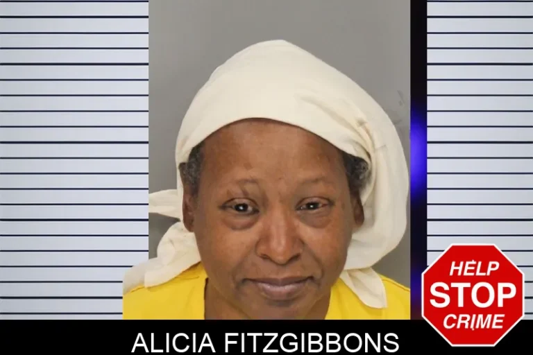 Alicia Fitzgibbons