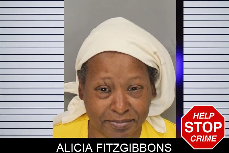 Alicia Fitzgibbons