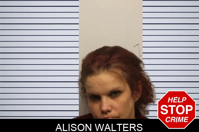 Alison Walters mugshot