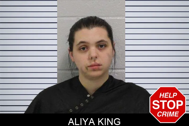Aliya King mugshot – Carroll County , Georgia Aliya King mugshot