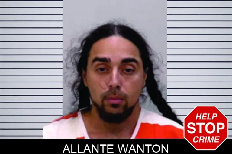 Allante Wanton