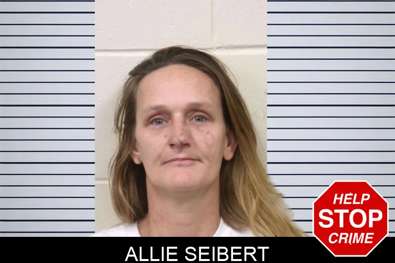 Allie Seibert