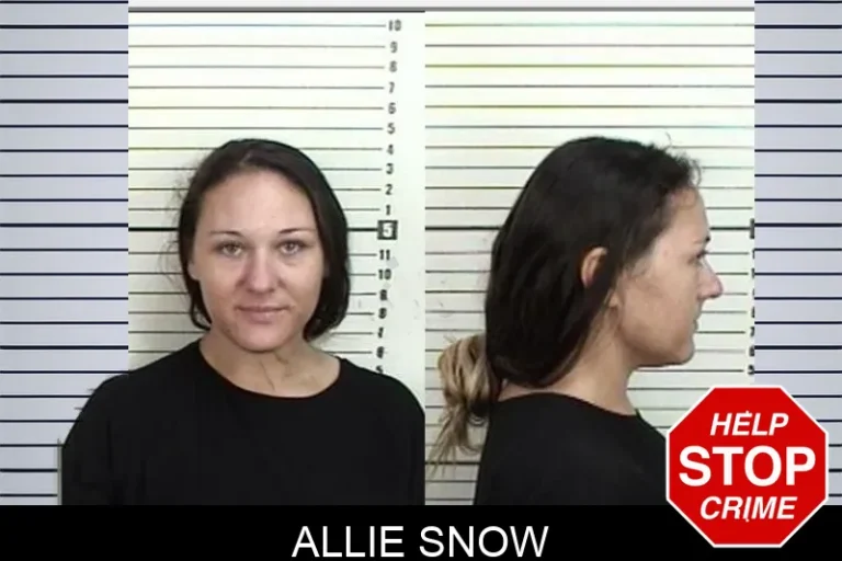 Allie Snow
