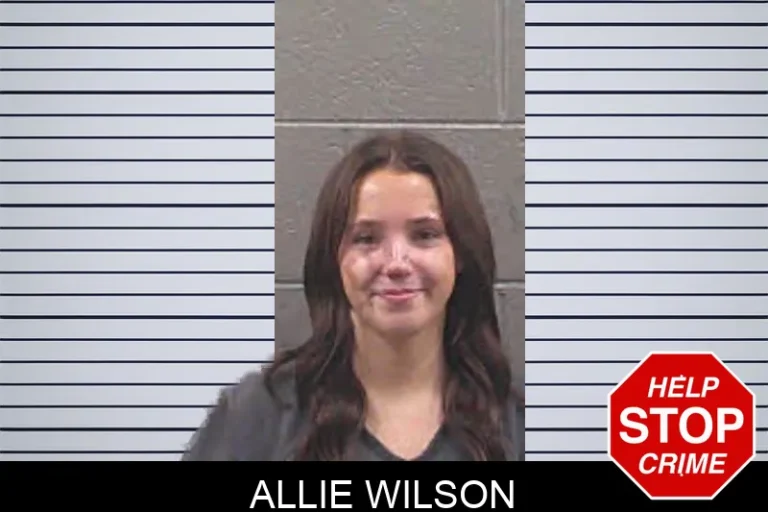 Allie Wilson