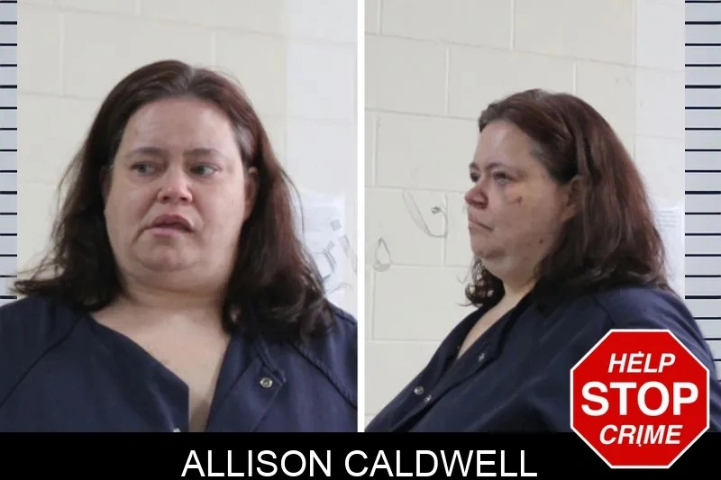 Allison Caldwell mugshot – Houston County , Georgia Allison Caldwell mugshot