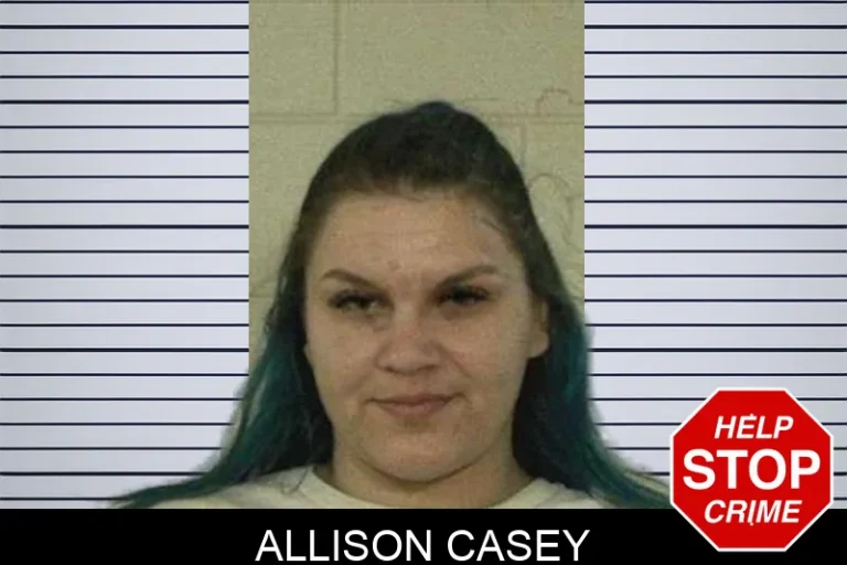 Allison Casey mugshot – Liberty County , Georgia Allison Casey