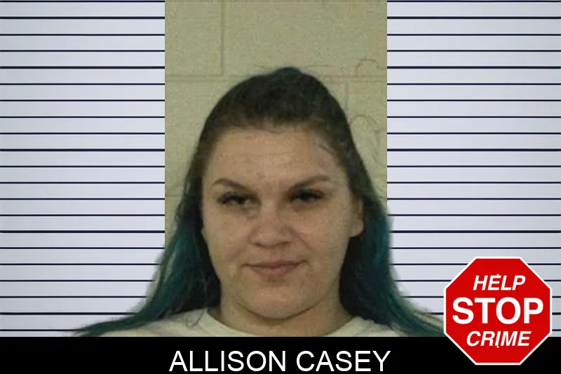 Allison Casey mugshot