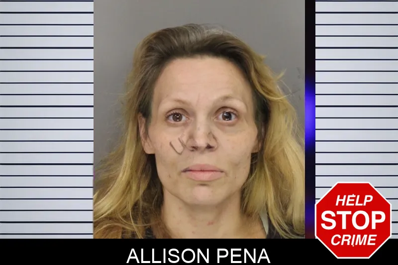 Allison Pena mugshot