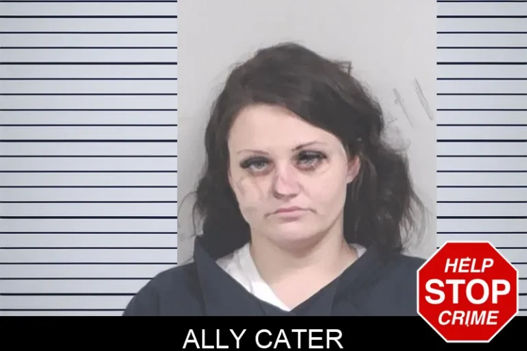 Ally Cater mugshot – Lowndes County , Georgia Ally Cater