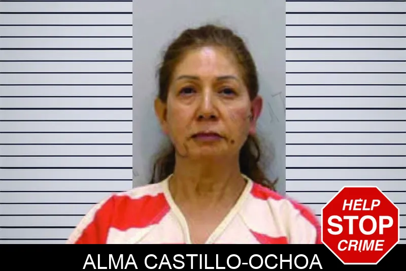 Alma Castillo-Ochoa mugshot – Bartow County , Georgia Alma Castillo-Ochoa mugshot