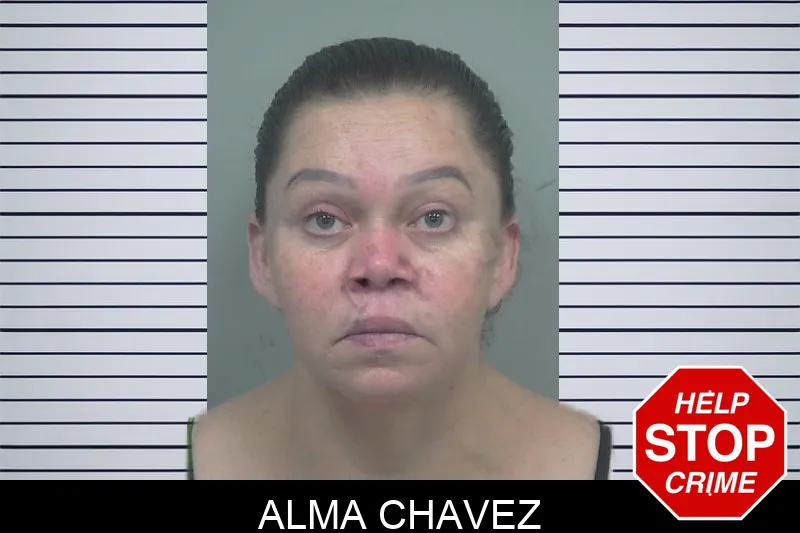 Alma Chavez mugshot