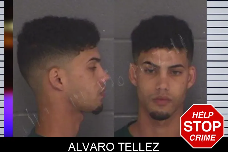 Alvaro Tellez Mugshots