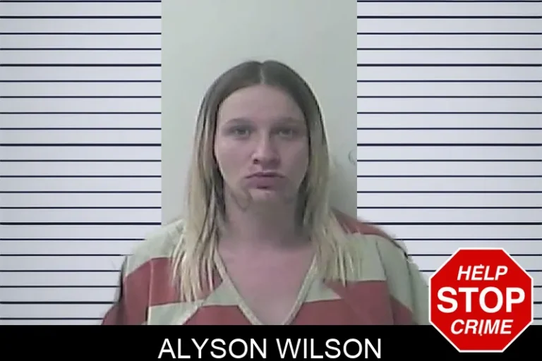 Alyson Wilson