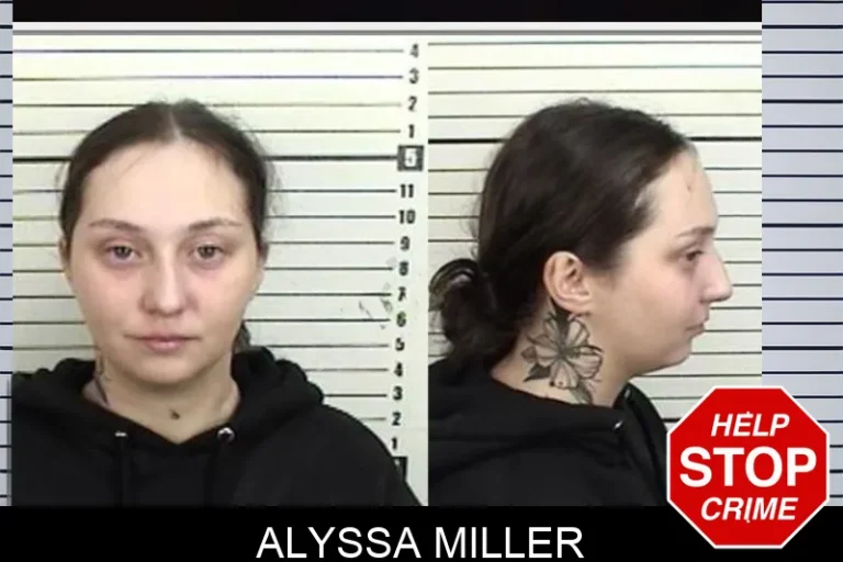 Alyssa Miller mugshot – Camden County , Georgia Alyssa Miller
