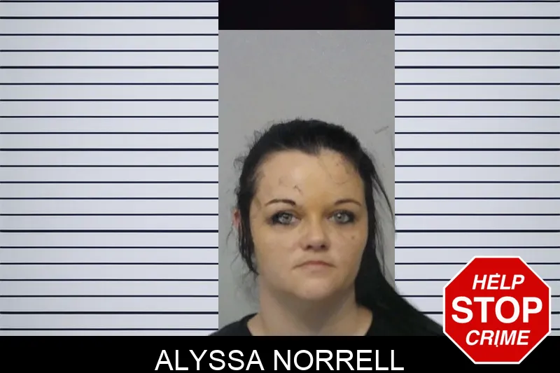 Alyssa Norrell Mugshots