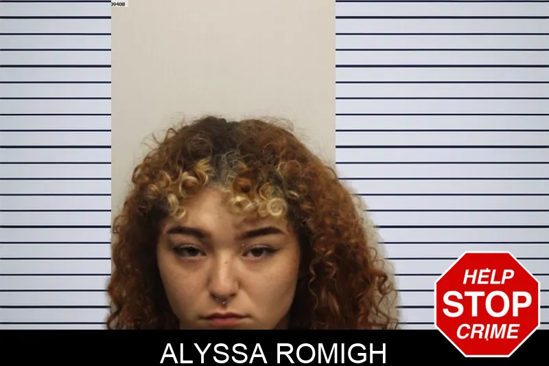 Alyssa Romigh Mugshots
