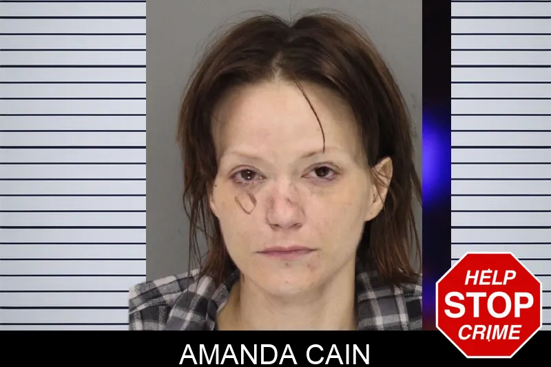 Amanda Cain Mugshots