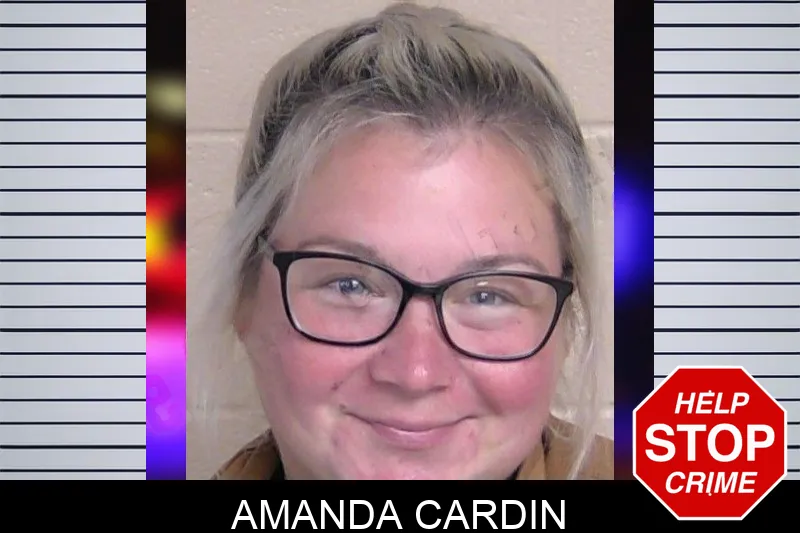Amanda Cardin Mugshots