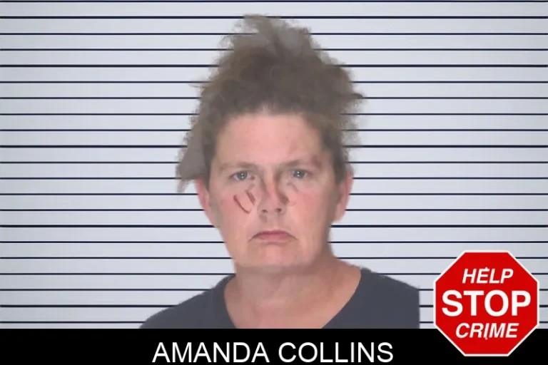Amanda Collins